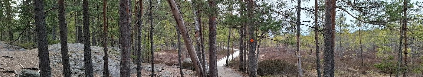Retkiotsikko